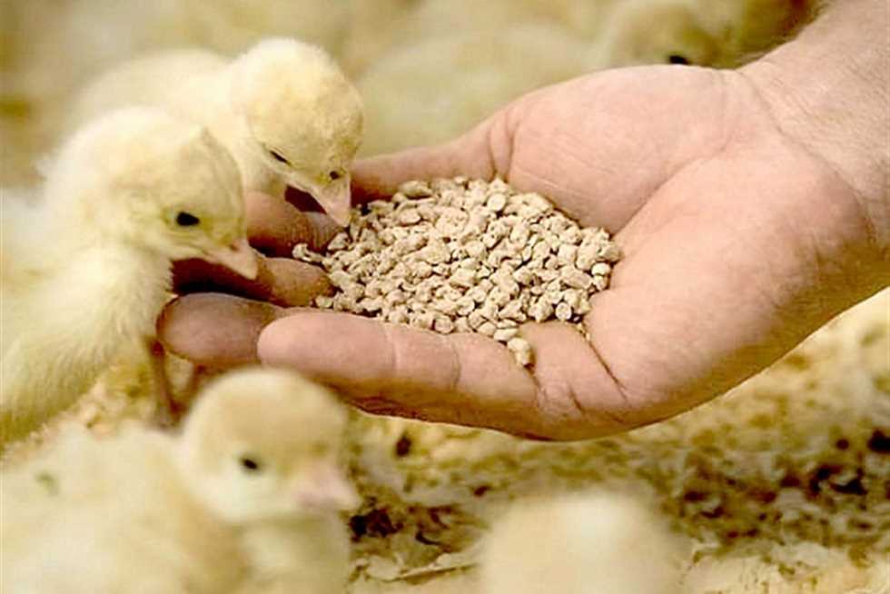 منتجات الأعلاف