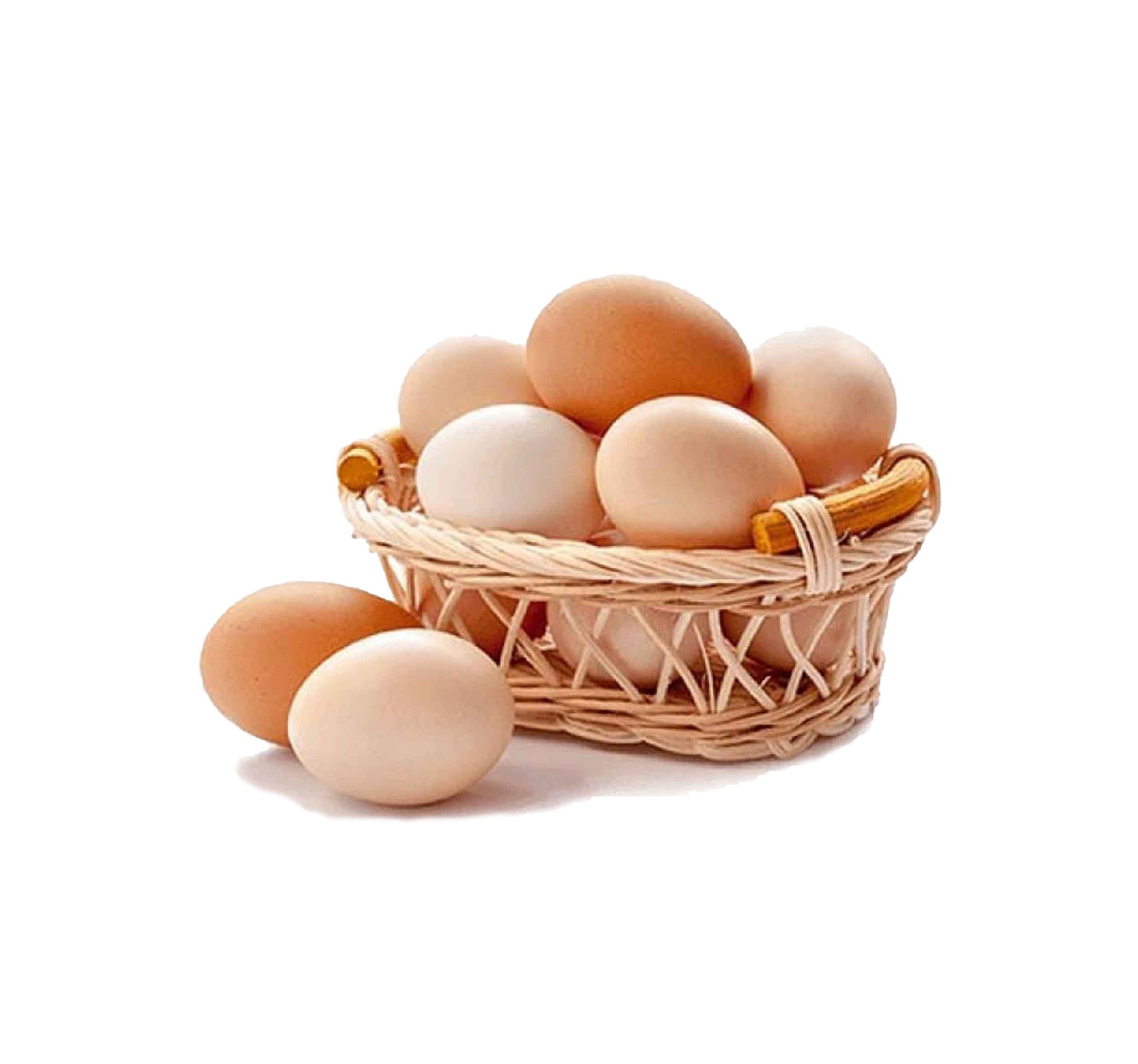 منتجات البيض