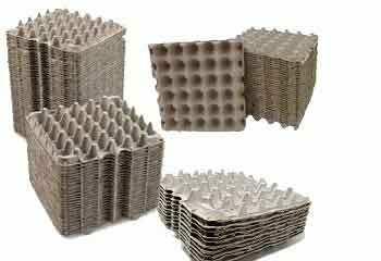 كراتين بيض مقاس 20 ابيض